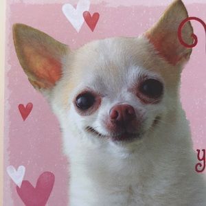 Meet your Posher, Patrizia